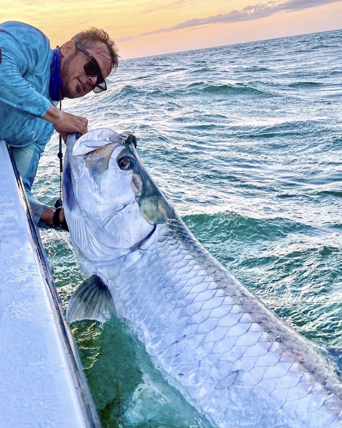 James Marko with a giant tarpon boatside at sunset