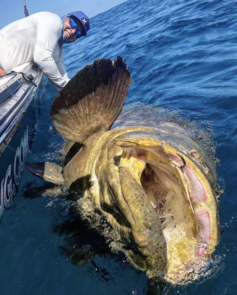 GOLIATH FISHING